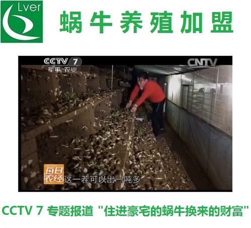养殖蜗牛有回收的吗挣钱吗