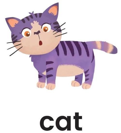 cat1什么简称