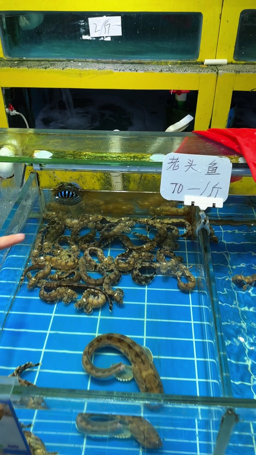 4月海鲜哪个最肥