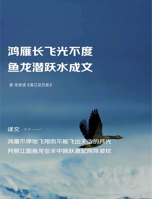鸿雁计划小说