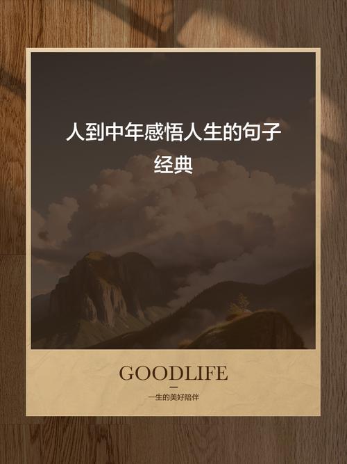 优酷经典版8.4.8