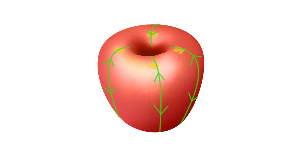 ps加深减淡工具缩略图