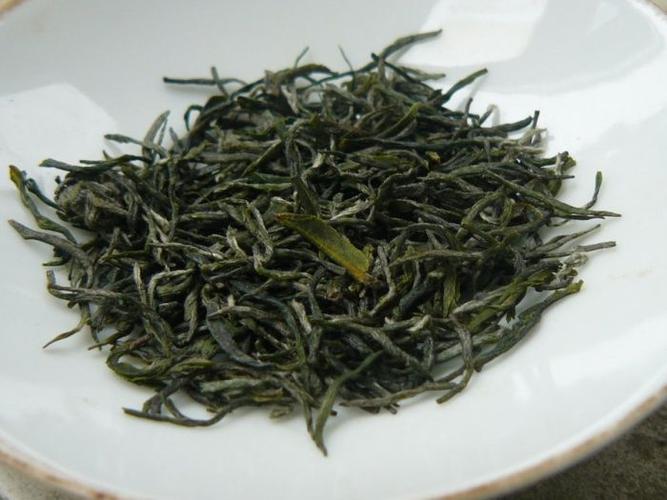 毛尖属于什么茶