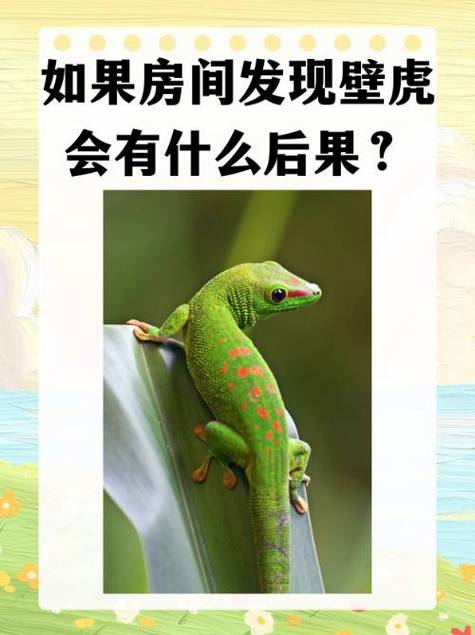 壁虎数据