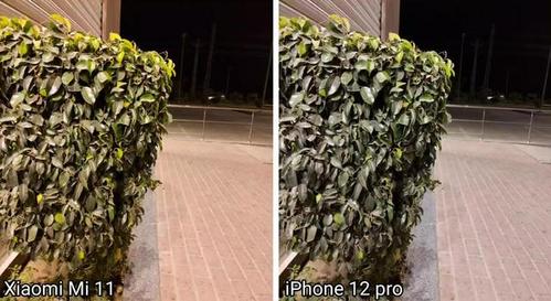 小米11pro和iphone12拍照对比