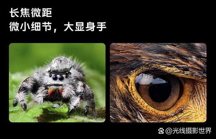 手机没有长焦镜头影响大吗