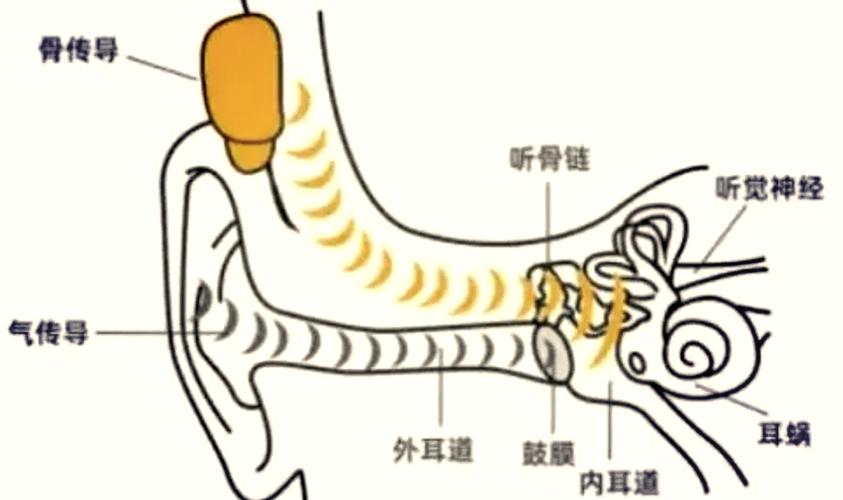 耳机通过什么传播声音