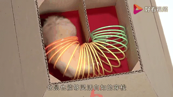 仓鼠最大的迷宫缩略图