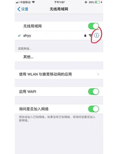 苹果手机开4g没网络怎么办