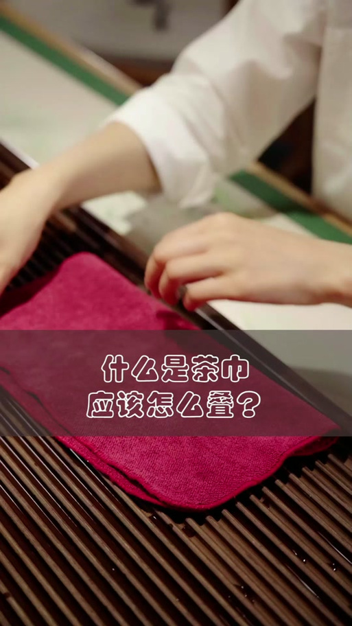 小说中抹布是什么意思