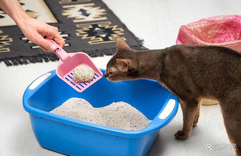 猫沙还有其他什么用途