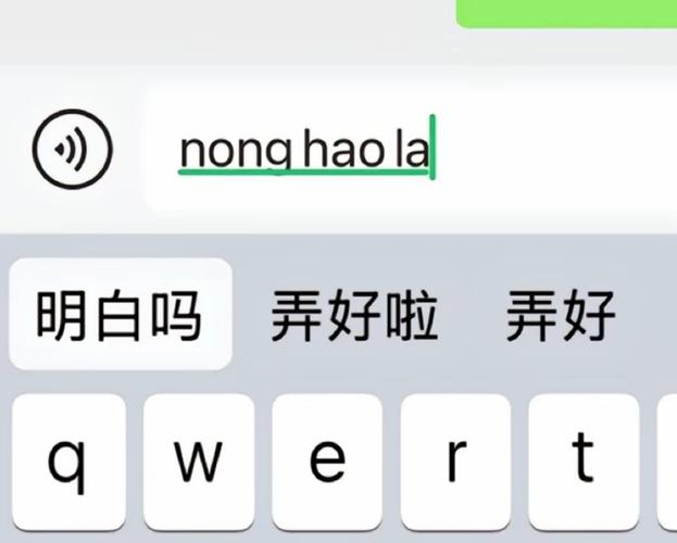 苹果自带输入法老是打错字