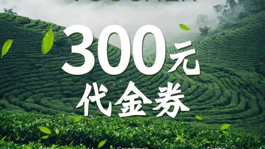 美团代金券是什么