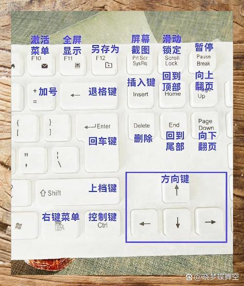 跑闪送新手怎样入门