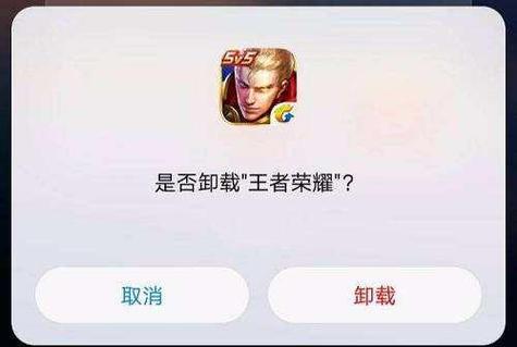 王者荣耀卸载了游戏截图