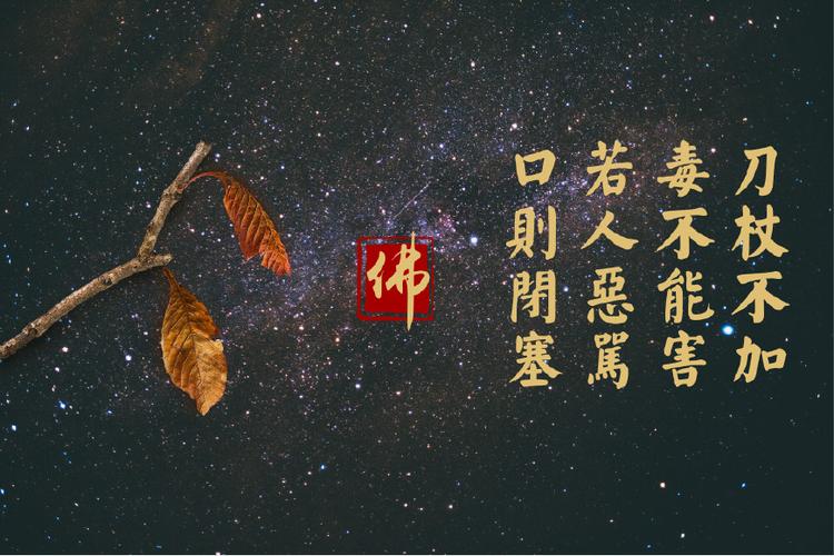 法华经最震撼四句