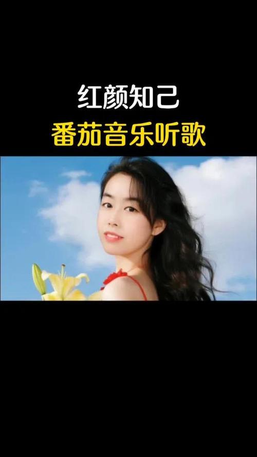 番茄音乐原唱版