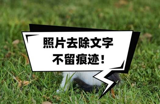去掉纸上的字不留痕迹游戏截图