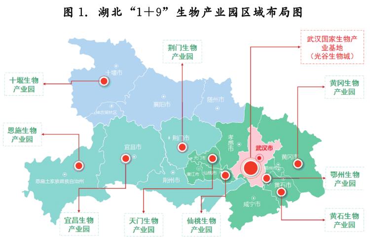 对湖北省经济发展的建议