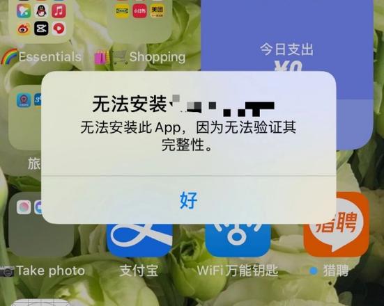 ipad安装不了软件