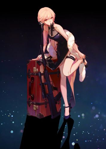 少女前线2紫雨心