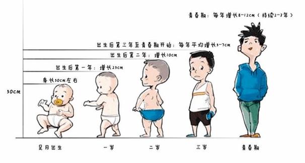 儿童生长发育的规律