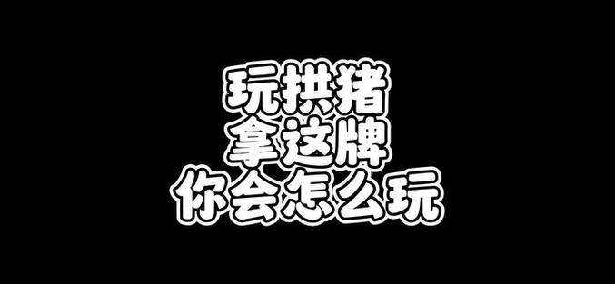 盘州拱猪免费安装
