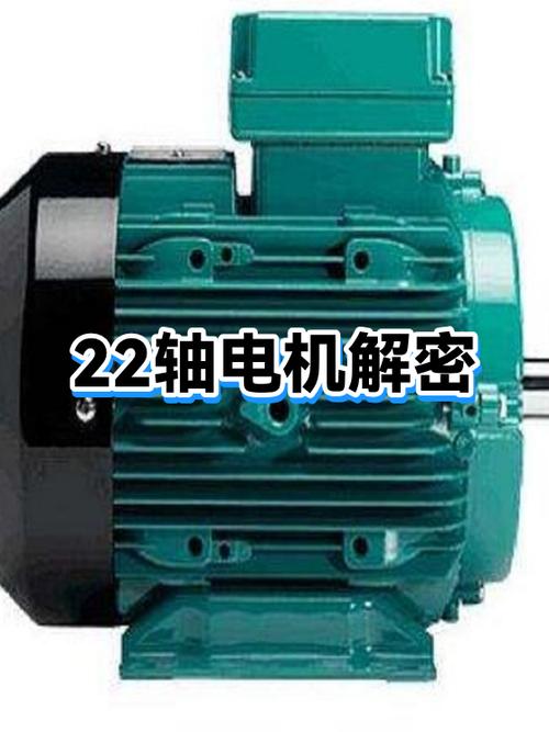 22的电机轴多粗