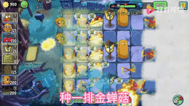 植物大战僵尸黑暗时代14天困难