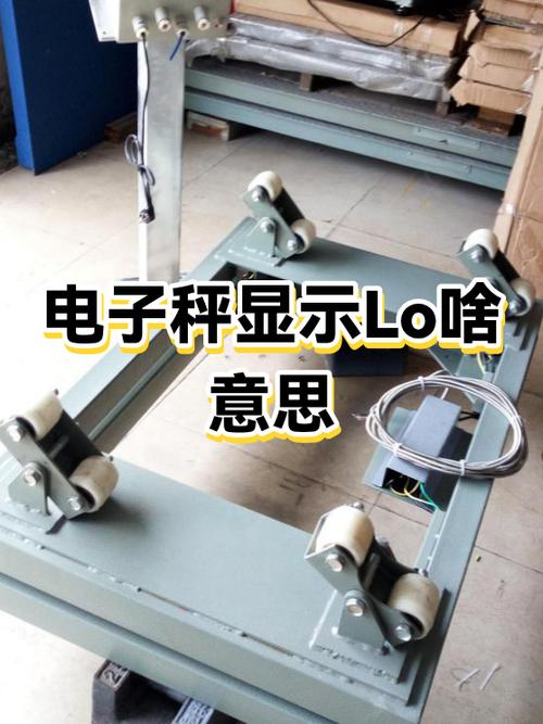 电子秤lo是什么意思
