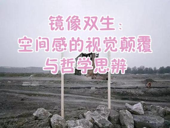 镜像人格是什么意思