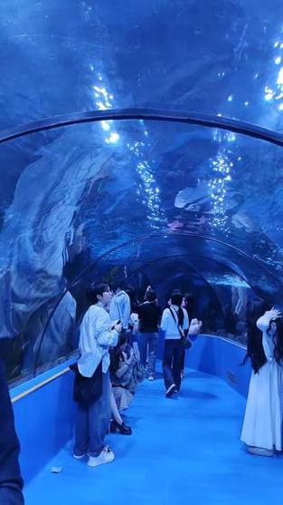 国内最好的水族馆