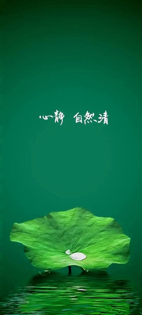 手机熄屏壁纸怎么不能使用