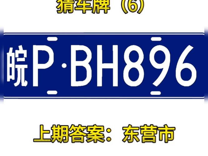 虚拟牌照