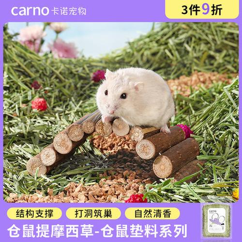 仓鼠喜欢把木屑刨的到处都是