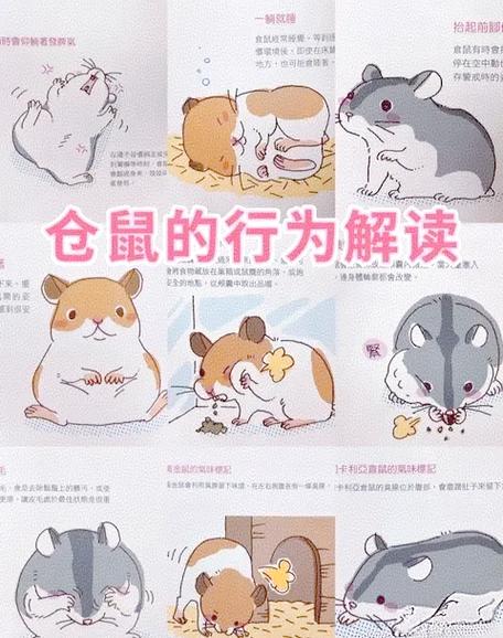 仓鼠30度会热死吗