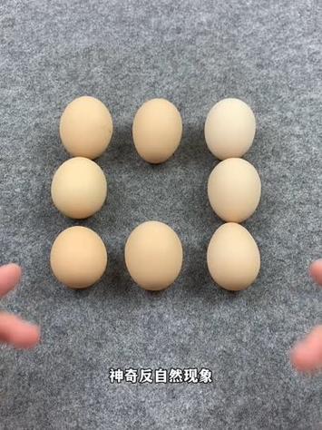 生鸡蛋和熟鸡蛋哪个能立起来