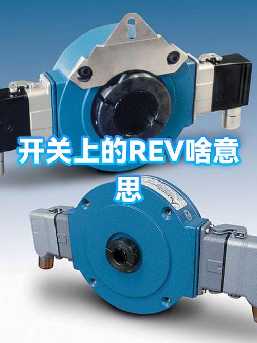 rev是什么简称