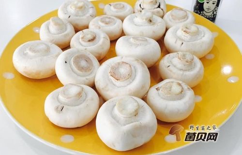 口蘑怎么洗才算干净图标