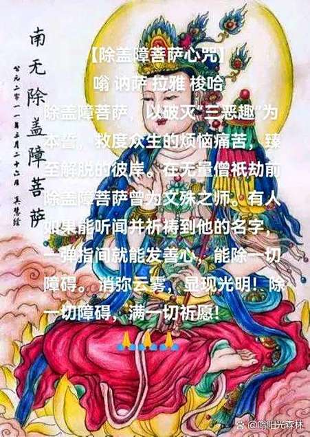 沙鱼怎样除鱼沙