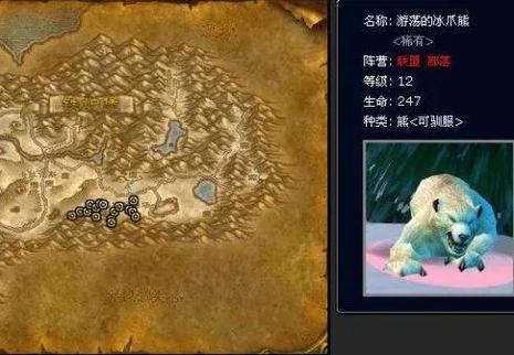 魔兽世界稀有宠物图鉴