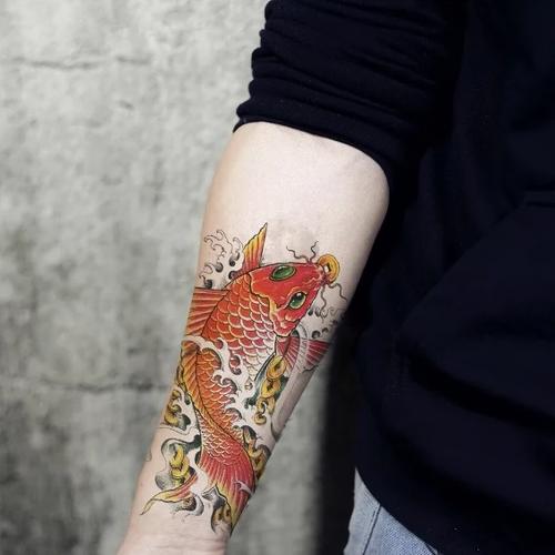 纹锦鲤的忌讳和讲究