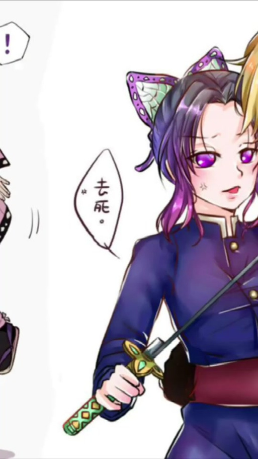 蝴蝶忍cp