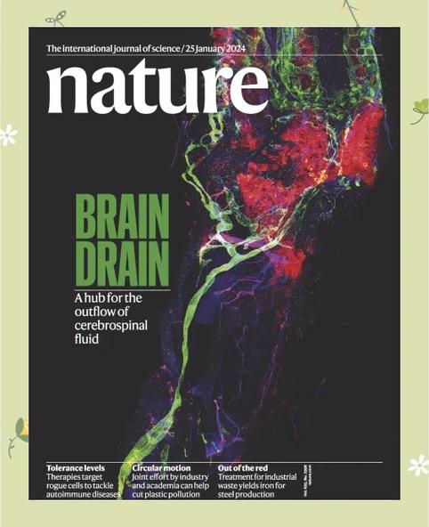 自然期刊nature官网