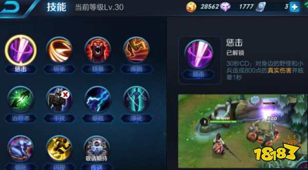 王者荣耀惩戒伤害数字怎么显示