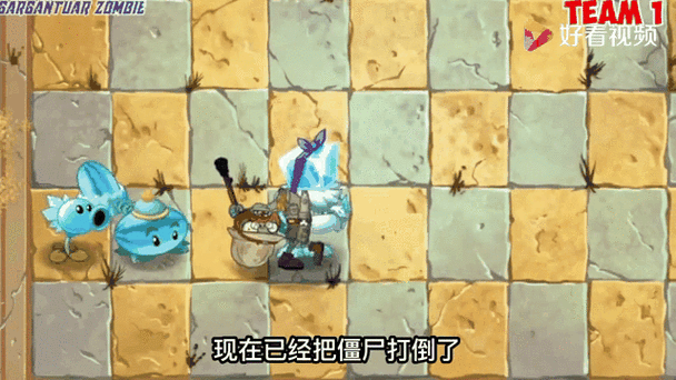 冰系植物vs火系植物
