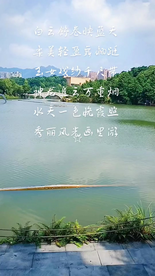 夸人文采好的句子