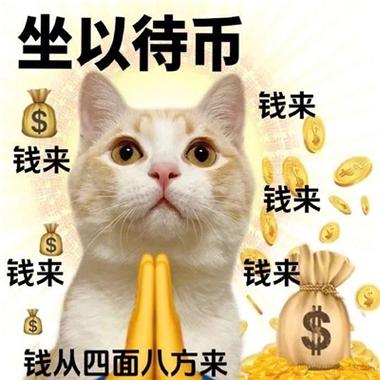 随机金钱的表情包