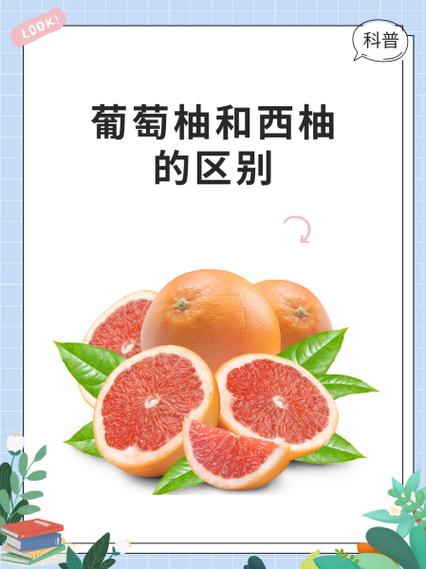 葡萄柚和西柚的区别