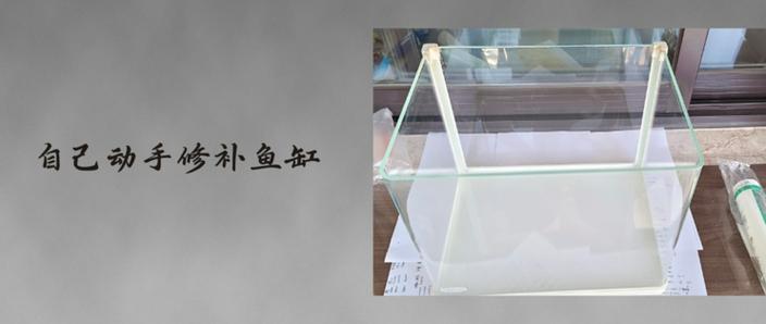 修鱼缸电话附近100米